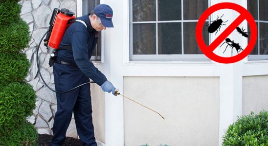 Olur Böcek ve Haşere İlaçlama böcek ilaçlama ve haşere kontrolü — ilaclama-tr.com